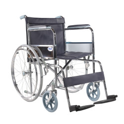 Esco Standard Wheelchair (Code:WCH/5261-PN)